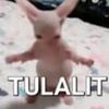 perkebew_mantap
