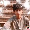ali.ali.3213