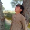 ali.haydar3762
