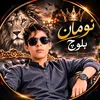 amiralimangecom