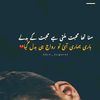 basit.king560