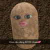 _._._nema