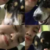 shanehxxjmc