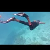 thereallocdmermaid