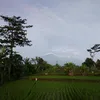 ndaa_daa10
