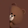 grizzlybearmedved