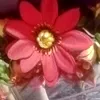 ashraful.islam3859