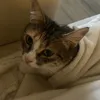 mimitutu22
