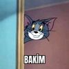 user2524292823