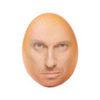 trener_zxc1