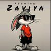 zavipage2