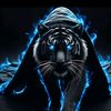 yanzzzzz5992