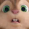 🧸