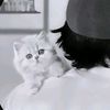 iilyasillyas55