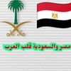 alaaegyptian3