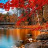 mzeeshan22448
