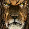 lionlike06
