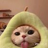 lucu5546