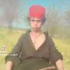shahid.ujjan29