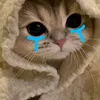 xamvnmocmoc