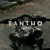 tantho_1