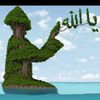 ahmad.nabi700
