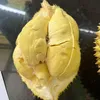 laocaii.durian