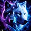 kaywy838
