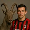 g.o.a.t.shevchenk5