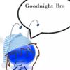sleepybuginarug