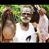 mahatma.gandhi64