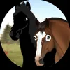 kht_fellisio