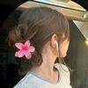 nour.el.9amar0