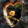 user1704800380197