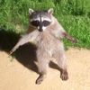 foxmam20