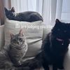 laura.courtney27