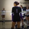 kdigsvball1