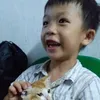 bch.phng955