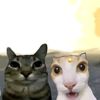 naii.and.nayli