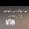 sulman.ali549