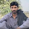 azarib1
