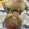 willlizze