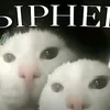 _9185520
