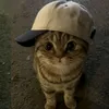 kasimovna__1