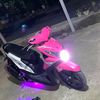 beezarr8