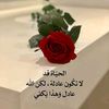 user76911743356073