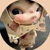 reo_madisigh