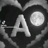 user80028786505445