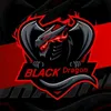 team.black.dragon08