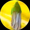 ahmad.khalgd